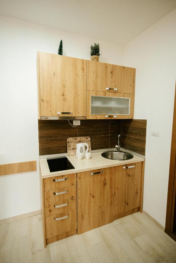 קופאוניק Apartman Kostic Kraljev Konak מראה חיצוני תמונה